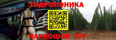 сатива Усть-Джегута