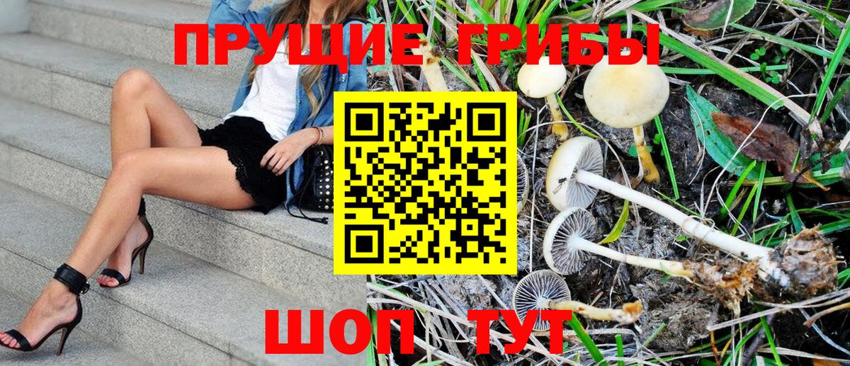 Псилоцибиновые грибы MAGIC MUSHROOMS  Вход с VPN  Псилоцибиновые грибы GOLDEN TEACHER  Надым 